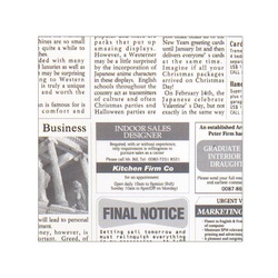 惣菜袋 ラミニュースペーパー RP-N150E 300枚入