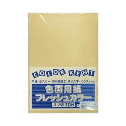 再生色画用紙　八切　しらちゃ　１０枚