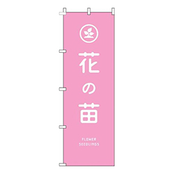 花の苗ピンク