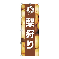 梨狩り写真茶色帯