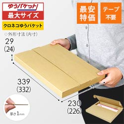 【廃番商品】厚さ3cm・ヤッコ型ケース（クリックポスト・ゆうパケット）