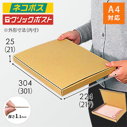 【クロネコゆうパケット・クリックポスト】厚さ2.5cm・N式ケース（A4サイズ）