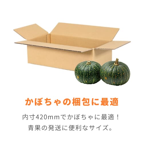 かぼちゃ2個用】宅配80サイズ・ダンボール箱（420×210×125mm