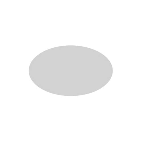 透明だ円シール２５×１５　強粘着