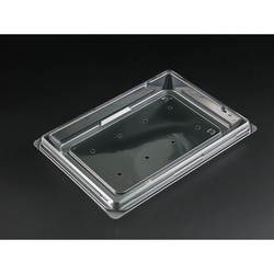 リスパック サラダ容器 バイオカップ キューブ H 21BF 穴8H 本体