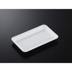 中央化学 発泡トレー CN 25-15E (L)