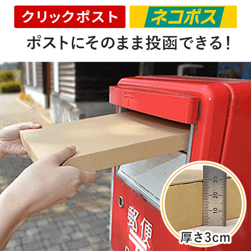 ネコポス・クリックポスト】厚さ3cm・テープレスケース（A5サイズ