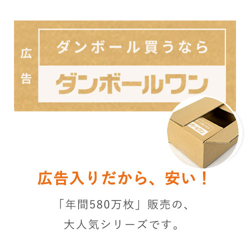 広告入】厚さ3cm・ヤッコ型ケース（A4サイズ、クロネコゆうパケット