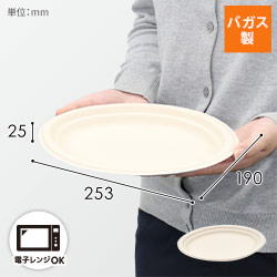 パックスタイル バガス容器 新BB楕円プレート 250-190
