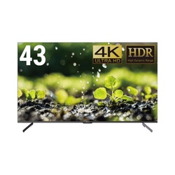 ４３インチ　４Ｋ　ディスプレイ