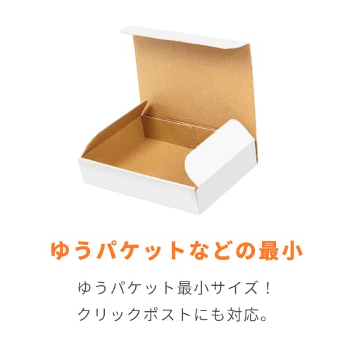 クリックポスト最小・ゆうパケット】厚さ3cm・N式ケース（白