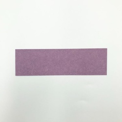 アオトプラス 箸袋 ハカマ No.4523 若紫