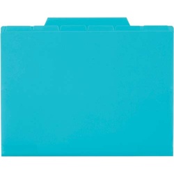 ６インデックスフォルダーＡ４　ブルー　１０冊