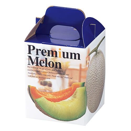 プレミアムメロン１ヶ入