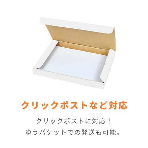 ネコポス・クリックポスト・ゆうパケット】厚さ3cm・N式ケース（白・B5