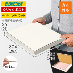 ネコポス・クリックポスト】厚さ2.5cm・N式ケース（白・A4サイズ