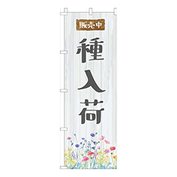 種入荷白木目柄