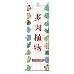 多肉植物白木目茶色