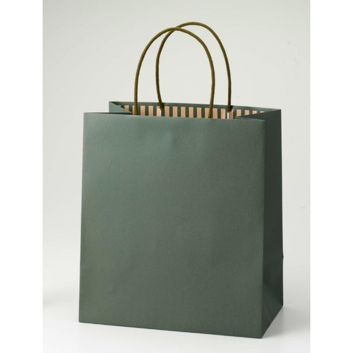 紙手提袋 ST カラーズ オリーブ パックタケヤマ