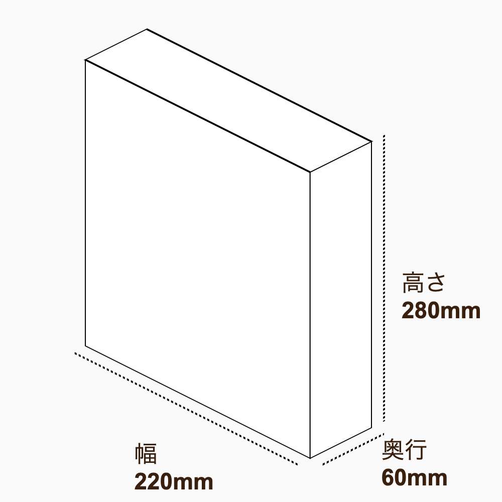 オリジナル印刷パッケージ（化粧箱（差し込み式）・220×60×280mm・コートボール紙 350g・マットPP・15営業日）