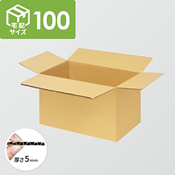 【宅配100サイズ】ダンボール箱(450×210×250mm) 5mm A/F K5×K5