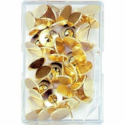 二重画鋲足長　４０本　Ｍ１０１５４