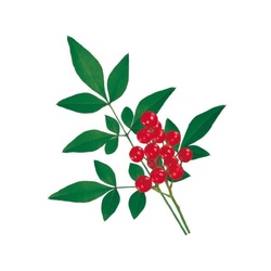 ユニバース フィルムシート グルメシート 南天S 丸小