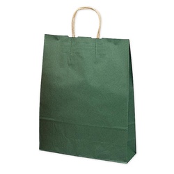 持ち帰り用紙袋 50-5408 手提げ袋 エメラルド 380×150×500 50P ササガワ
