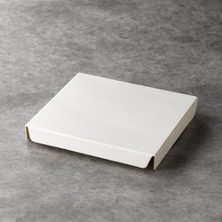 アサヒグリーン ポプラの箱 正方 本平蓋