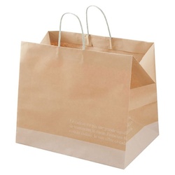 紙手提袋 FR-1P フレンチクラフトペーパーバッグ-1 10枚入 ヘッズ