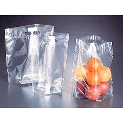 スタンド袋 ハンドパックバイオ2号240×310 ベルグリーンワイズ