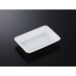 中央化学 発泡トレー CN 22-15G (L)