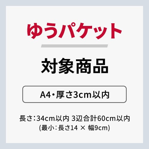 ネコポス・クリックポスト】厚さ3cm・ジッパー付きケース（A4サイズ