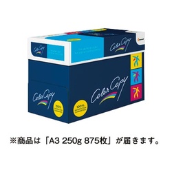 ＣＯＬＯＲ　ＣＯＰＹ　Ａ３　２５０ｇ　８７５枚