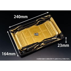 リスパック 刺身容器 バイオ 枠越24-17B とうげん金 本体