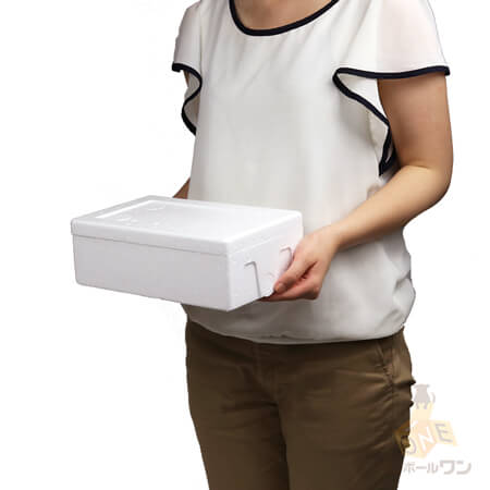 宅配60サイズ】発泡スチロール箱 ※平日9?17時受取限定(日時指定