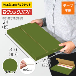 【グリーン色】厚さ2.5cm・テープレスケース（A4サイズ・ネコポス・クリックポスト）