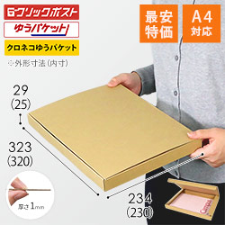 【在庫限り】【最安特価】厚さ3cm・N式ケース（クリックポスト・ゆうパケット）