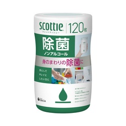 スコッティ　ウェット　除菌ノンアル　本体　１２０枚