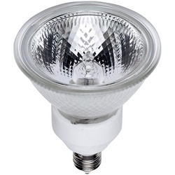 電球　ダイクロビーム　４０Ｗ　５０径　中角　１０個