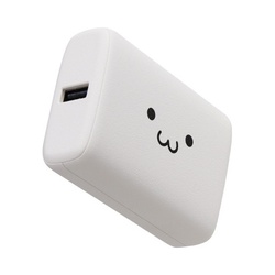 モバイルバッテリー　１００００ｍＡｈ　顔