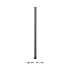 ポール３００ステンレス（２本入）