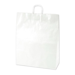 持ち帰り用紙袋 50-5500 手提げ袋 白無地 420×160×535 50P ササガワ