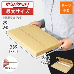 【クロネコゆうパケット・クリックポスト・ゆうパケット】厚さ3cm・テープレスケース（A4サイズ）