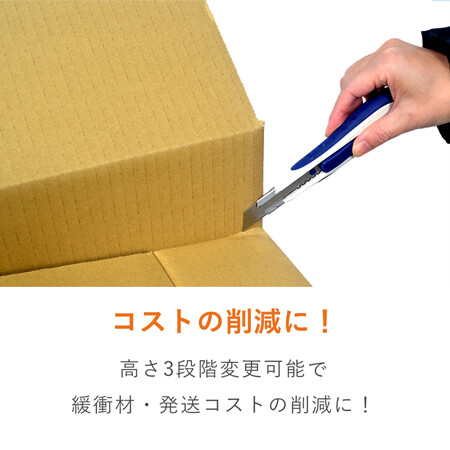 特徴2