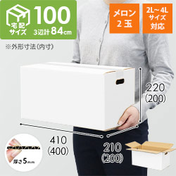 【宅配100サイズ】ダンボール箱（メロン2玉用・2L〜4Lサイズ対応）