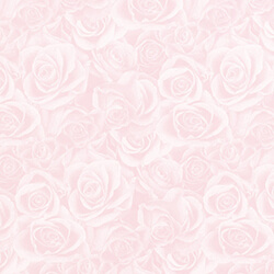 【廃番商品】包装紙 半才 グレイスフル Ｐ