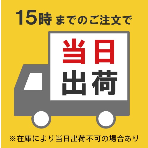 当日出荷