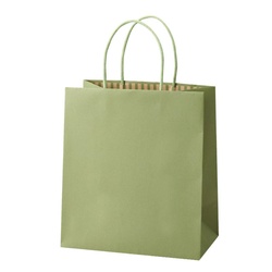 紙手提袋 ST カラーズ グリーンティー パックタケヤマ