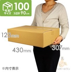 宅配100サイズ】ダンボール箱（定形外郵便最大・国際郵便対応）洋服用